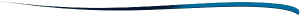 Image of a webpage section divider