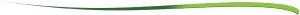 Image of a webpage section divider
